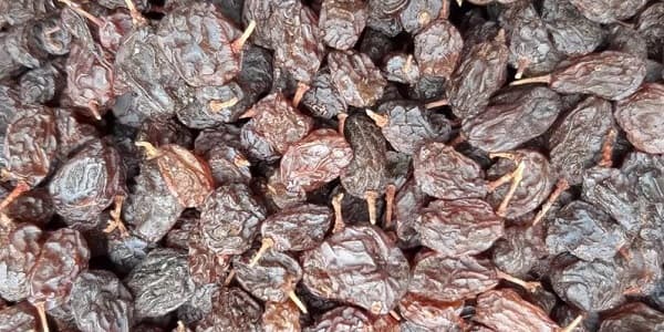تصویر 1 از قیمت خرید کشمش بیدانه افتابی تاکستان با فروش عمده